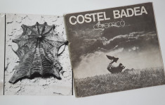 COSTEL BADEA - ALBUM SI O FOTOGRAFIE ORIGINALA foto