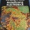 Imagini comparative de microscopie electronica