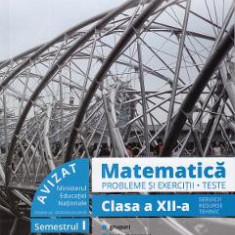 Matematica. Probleme si exercitii. Teste - Clasa 12 Sem.1 - Marius Burtea, Georgeta Burtea