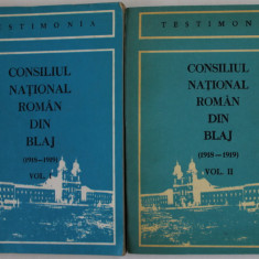CONSILIUL NATIONAL ROMAN DIN BLAJ ( 1918 - 1919 ) , VOLUMELE I - II , editie de VIORICA LASCU si MARCEL SERBAN , 1978