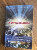 A opta chakra - Dr. Jude Currivan / R3P4S