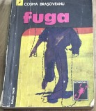LITR02 XLA Cosma Brasoveanu - Fuga