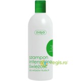 Sampon Prospetime Intensa Cu Menta Si Urzica 400ml