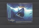 PERU 2023 FAUNA ANIMALE PREISTORICE MEGALODON