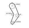 Curea Distributie Gates 5662XS PowerGrip Dacia Logan Sandero Renault Kangoo Nissan Lada Largus Lodgy 0.16kg