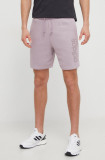Adidas pantaloni scurți bărbați, culoarea violet IW1196