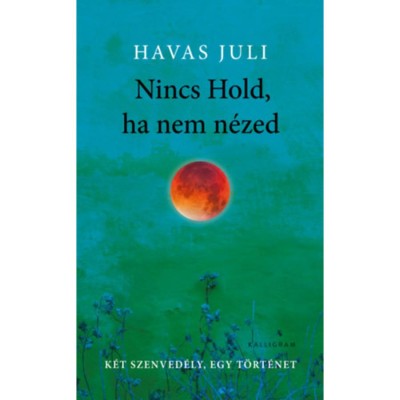 Nincs Hold, ha nem n&amp;eacute;zed - Havas Juli foto