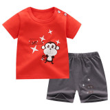 Costumas pentru baietei - Monkey (Marime Disponibila: 6-9 luni (Marimea 19, Superbaby