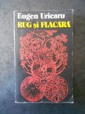 EUGEN URICARU - RUG SI FLACARA