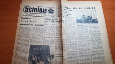 scanteia 13 aprilie 1964-articol orasul sulina foto