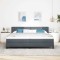 vidaXL Pat cu Saltea cu Arcuri Negru 100x200 cm Catifea Gri &icirc;nchis 3341433