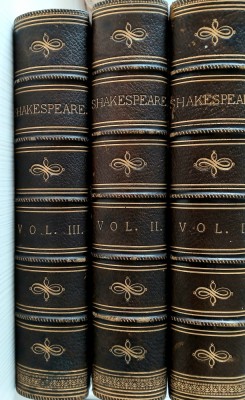 Opera lui Shakespeare foto