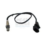 Meat &amp;amp; Doria Sonda Lambda