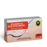 SET COLAGEN&amp;ACID HYALURONIC 6BUCX10ML, Hypericum