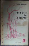 Cumpara ieftin STEFAN BANULESCU: DRUM IN CIMPIE / CAMPIE (REPORTAJE, VOLUM DE DEBUT/ESPLA 1960)