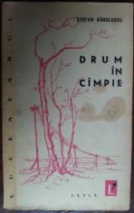 STEFAN BANULESCU: DRUM IN CIMPIE / CAMPIE (REPORTAJE, VOLUM DE DEBUT/ESPLA 1960) foto