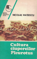 Cultura Ciupercilor Pleurotus - Nicolae Mateescu foto