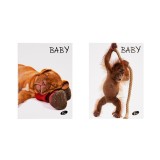 Caiet Design Baby pets, A5, 36 file, h&acirc;rtie 80gr./mp, copertă carton 300gsm,