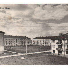 CPIB 21679 - CARTE POSTALA - VEDERE DIN OCNA MURES, RPR