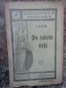 DIN VALURILE VIETII -I.SLAVICI, Brosata