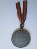 Rara! Medalia 1866-1891 serbarea de 25 de ani de domnie a regelui Carol I