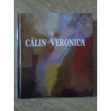 PAINTING - TAPESTRY (ALBUM PICTURA SI TESATURI COLOR)-CALIN VERONICA-235119