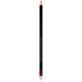 Anastasia Beverly Hills Lip Liner creion contur buze culoare Raisin 1,49 g