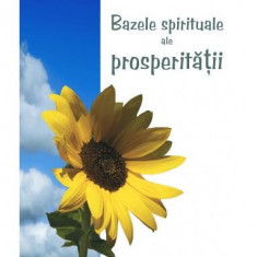 Bazele spirituale ale prosperităţii - Paperback brosat - Roy Eugene Davis - Mix