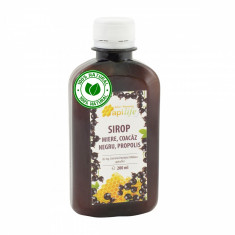 Sirop apiterapeutic cu miere, coacaz negru si propolis - ApiLife - 200 ml foto