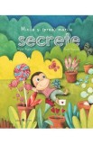 Micile si (prea) marile secrete - Mylen Vigneault
