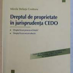 Dreptul de proprietate in jurisprudenta CEDO - Mirela Steluta Croitoru