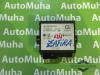 Calculator confort Opel Zafira A (1999-2005) 24410018, Array