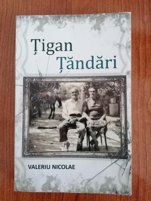Valeriu Nicolae, Țigan țăndări foto
