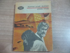 Djubran Khalil Djubran - Aripile frante foto