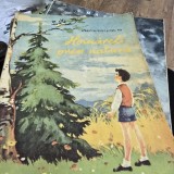 Hoinareli prin natura - Demostene Botez, Ionel Pop