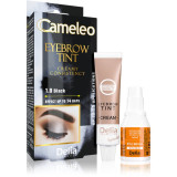 Delia Cosmetics Cameleo Vopsea crema profesionala pentru sprancene fără amoniac culoare 1.0 Black 15 ml