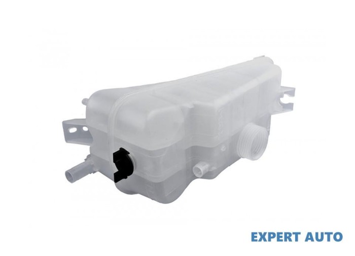 Vas expansiune Citroen BERLINGO (MF) 1996-2016 #1