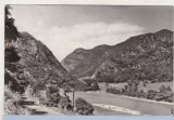 Bnk cp Oltul la Cozia - Vedere - circulata, Printata, Valcea