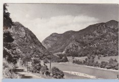 bnk cp Oltul la Cozia - Vedere - circulata