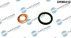 Set Garnituri Etansare,Injectoare 307817 DRM0419