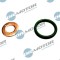 Set Garnituri Etansare,Injectoare 307817 DRM0419