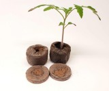 Turba Jiffy 41mm