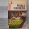 Regele visurilor (Povestiri americane din secolul al XIX-lea)
