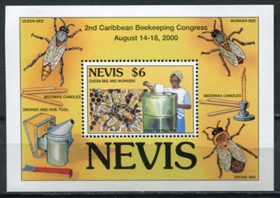 NEVIS 1994 FAUNA INSECTE ALBINE foto