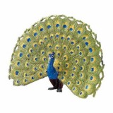 Figurina - Paun | Safari