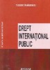 Drept interna&Aring;&pound;ional public - Curs universitar
