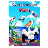 Pasari - Carte de colorat