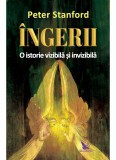 Ingerii | Peter Stanford, For You