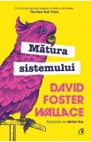 Matura sistemului - David Foster Wallace