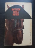 Napoleon fugea repede - Neagu Rădulescu